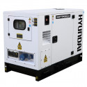HYUNDAI Groupe électrogène industriel Diesel 8800W DHY9KSEm